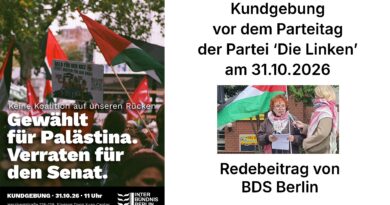 Redebeitrag vor dem Parteitag der Partei ‚Die Linken‘